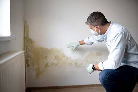 Best Asbestos and Lead Testing During Mold Inspection in Locust Valley, NY